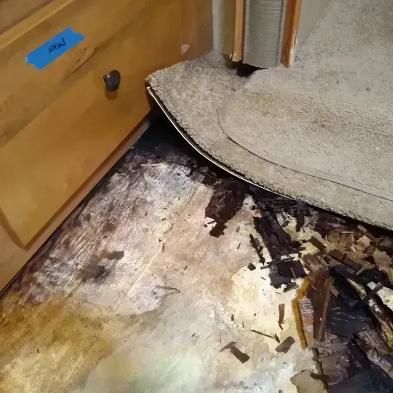 Best Wood Floor Water Damage Service in Stone Park, IL